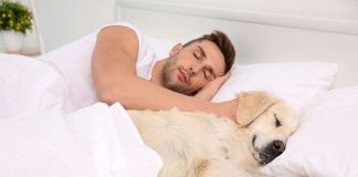 Gli animali fanno dormire male