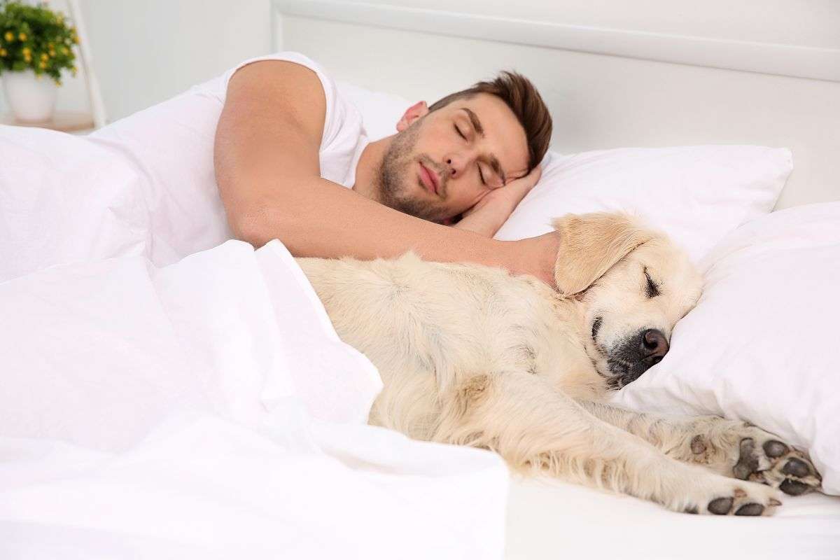 Gli animali fanno dormire male