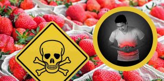 Fragole