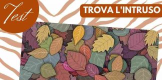 Test Visivo