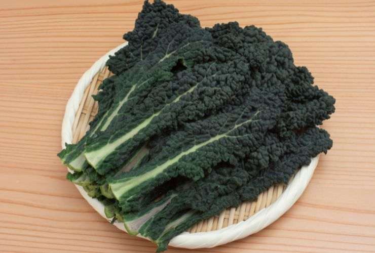 cavolo nero