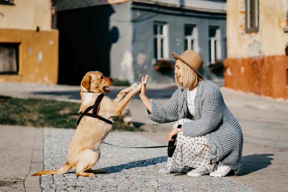 cane e padrone