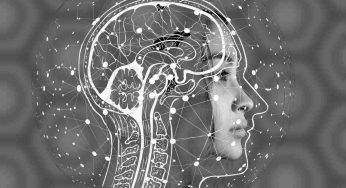 Circa 10 mila cervelli umani, la collezione più grande la Mondo: nasconde una storia inquietante