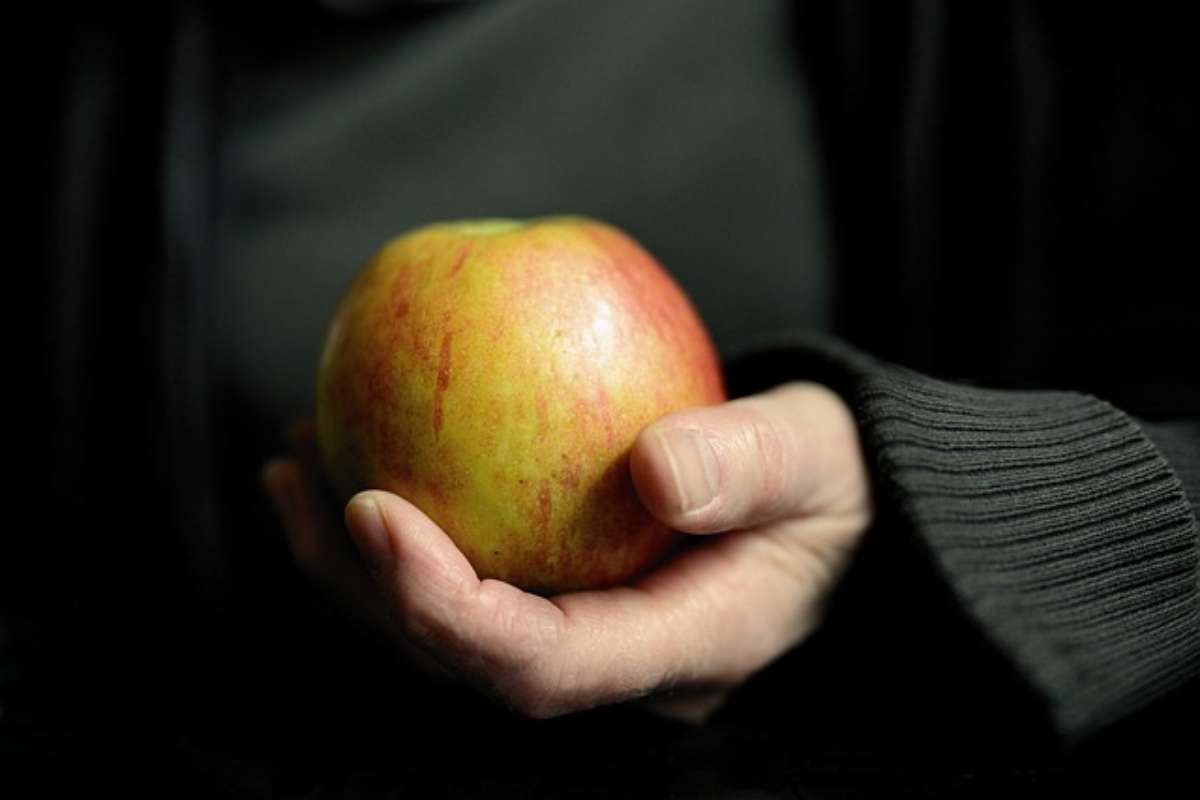 Não pode fazer dieta para emagrecer?  Este é um segredo incrível