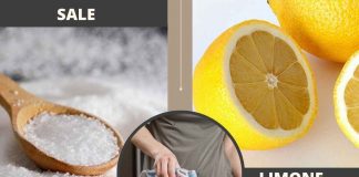 Sale e limone per pulire