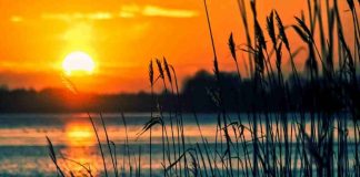 sole tramonto