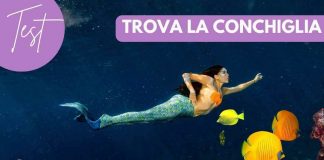 Test, trova la conchiglia
