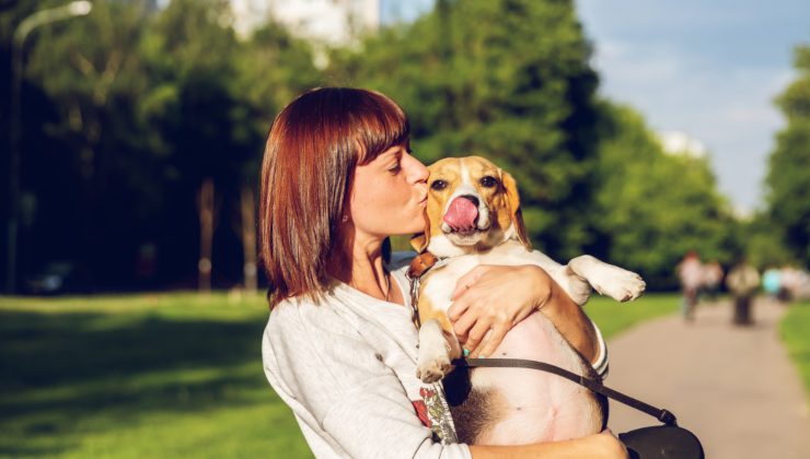 Cane: scopri se il tuo ti ama veramente