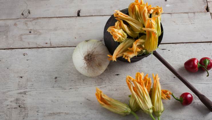 Fiori di zucca, quando raccoglierli