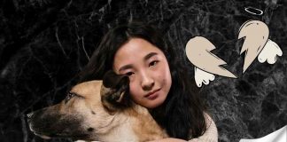lutto animale