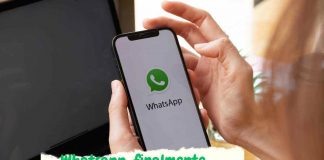 Whatsapp: nuovo aggiornamento 2023