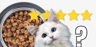 mangime secco gatti classifica