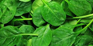 spinaci cena 5 minuti