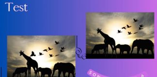 Test della savana, cosa manca?