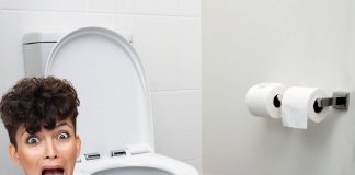 come evitare animali che risalgono bagno