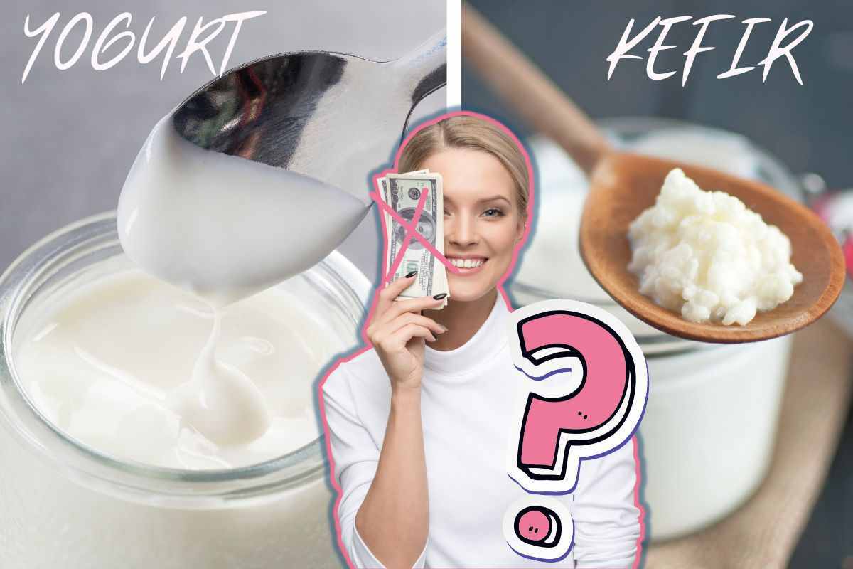 Yogurt e Fekir, principali differenze e vantaggi dei due alimenti