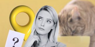 Dove posizionare la ciotola del gatto