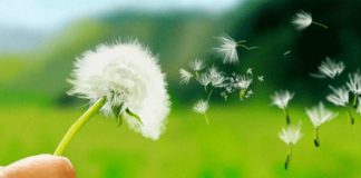 allergie e problemi dell'umore
