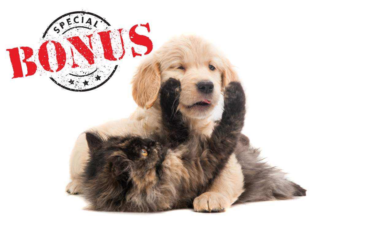 Bonus cani e gatti 