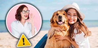 cane in spiaggia: cose da sapere