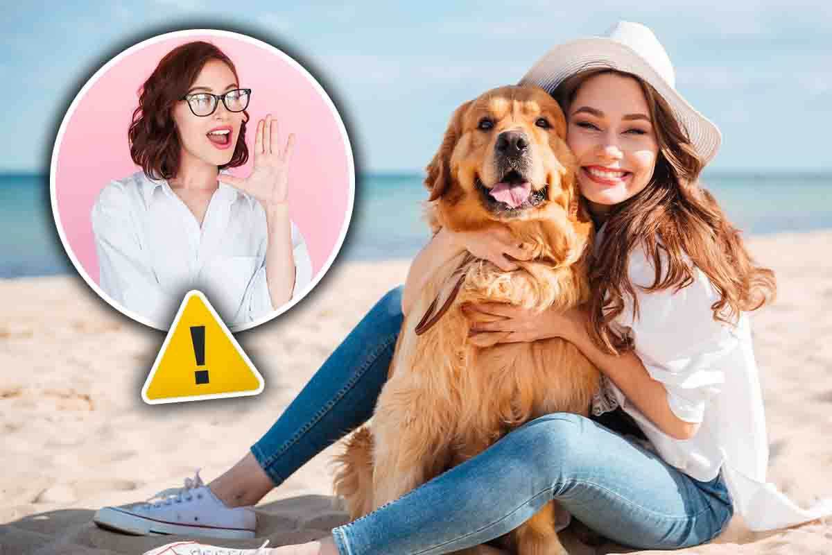 cane in spiaggia: cose da sapere