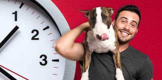 cane migliore amico tempo