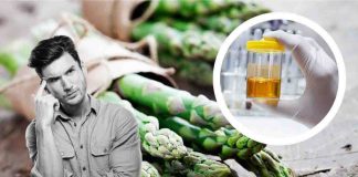 pipì puzza dopo asparagi