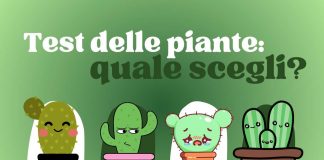 test personalità pianta