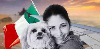 vacanze con il cane ecco dove