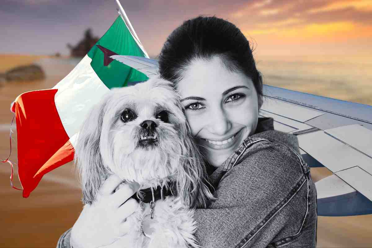 vacanze con il cane ecco dove