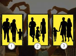 psico test individuare quale non è una famiglia