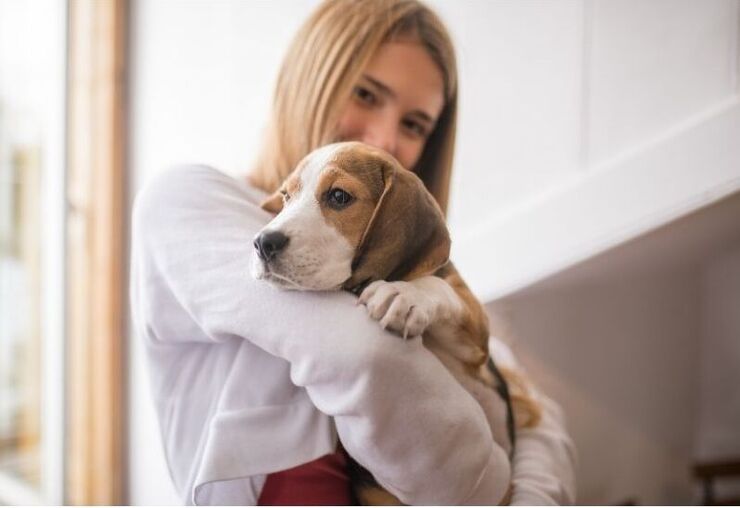 cani che disturbano il vicinato