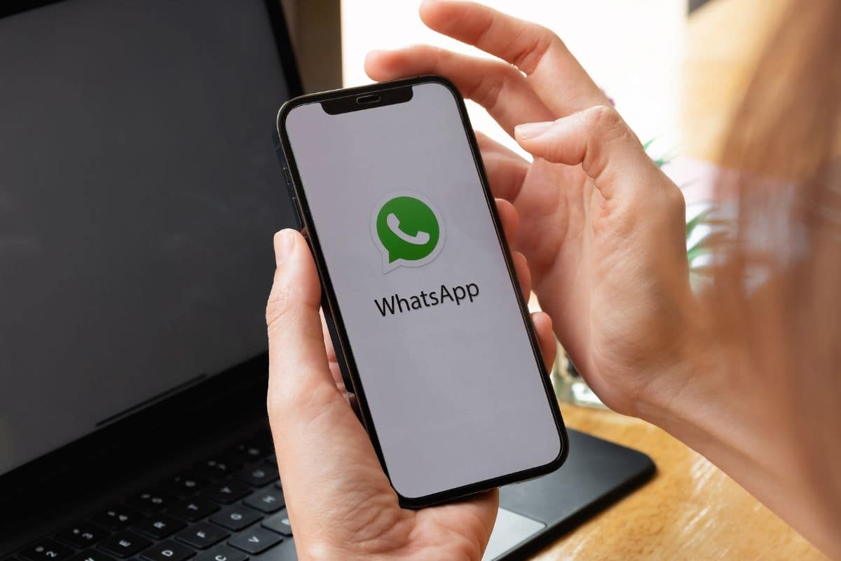 whatsapp utenti comunicazione