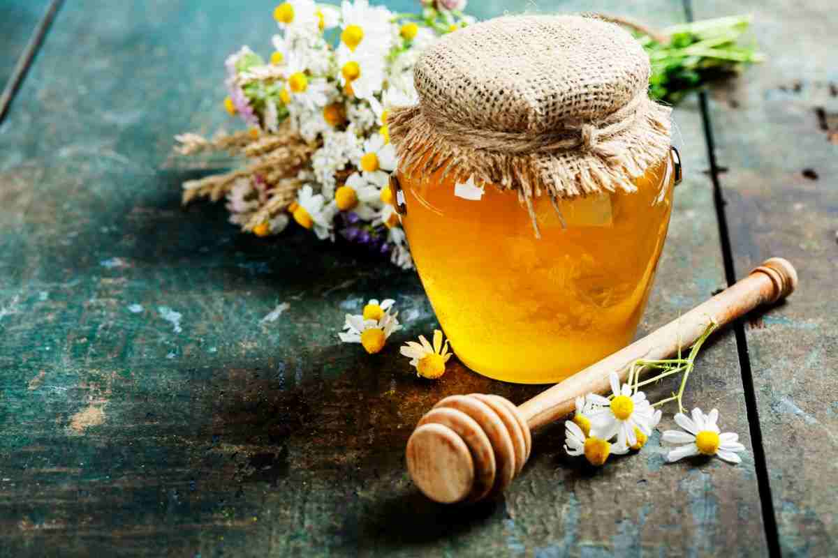 Il miele rischia di andare fuori produzione in Sardegna