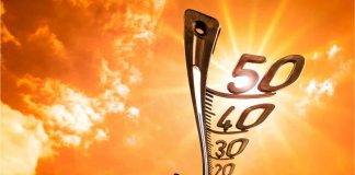 Afa: come contrastarla con i giusti cibi