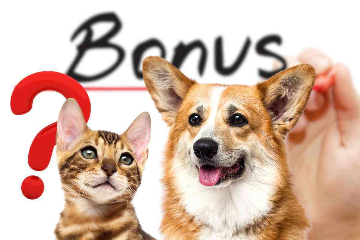 bonus animali domestici 2023