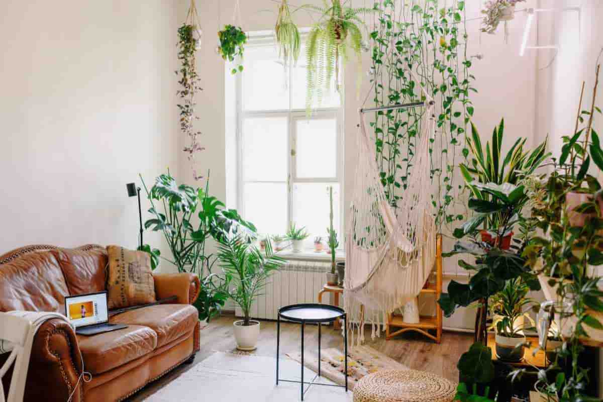 decorare casa con piante 
