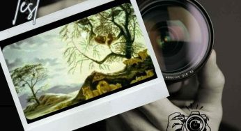 Test personalità: cosa vedi prima nello scatto Polaroid? La risposta rivela un particolare nascosto di te