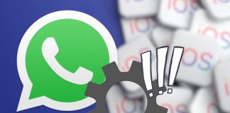 Novità WhatsApp con il nuovo aggiornamento per iOS: saranno due