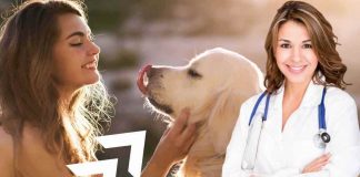 dog trekking benefici