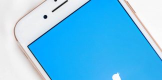 Com'è stato salvato l'uccellino di Twitter