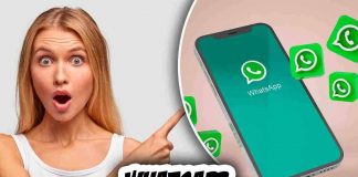 WhatsApp, nasce la chat a voce
