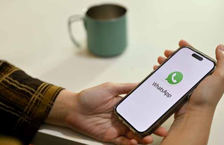 whatsapp novità 