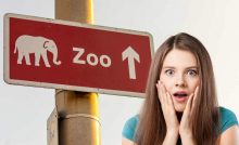 zoo nascita particolare
