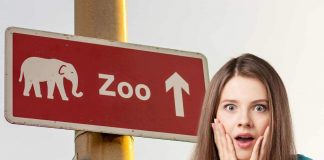 zoo nascita particolare