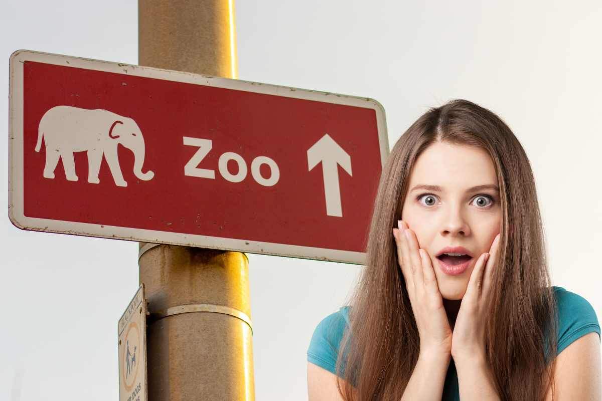 zoo nascita particolare