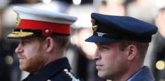 William e Harry, retroscena