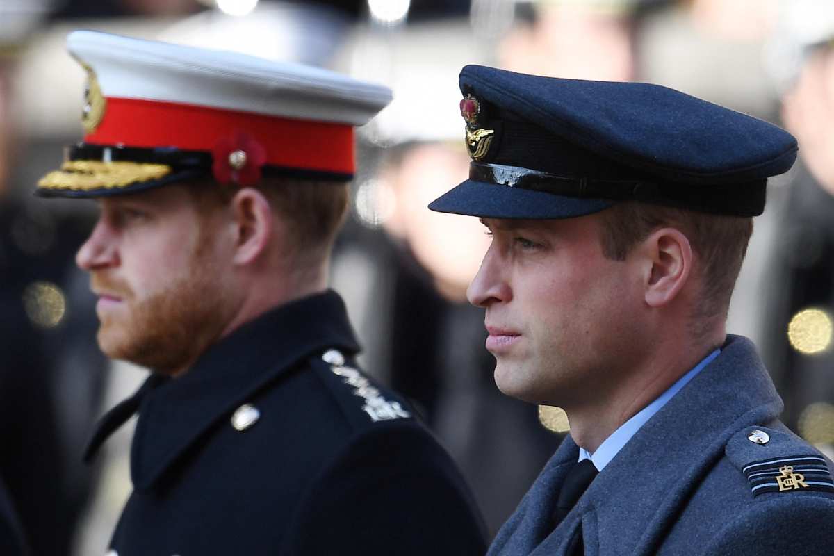 William e Harry, retroscena