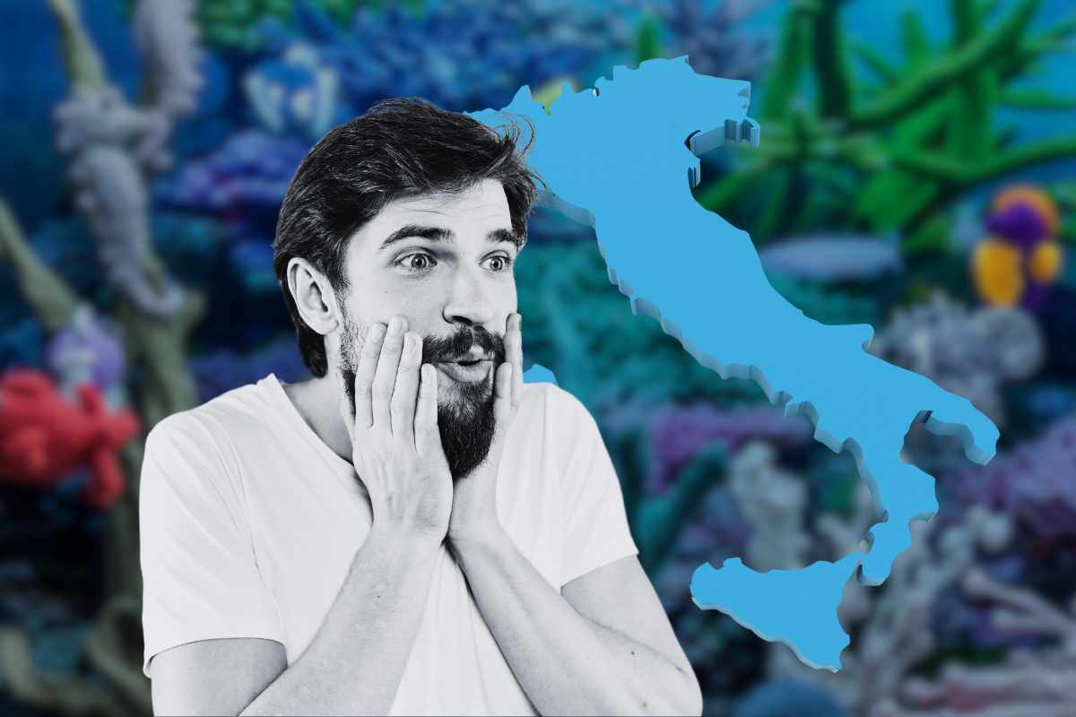 Acquario bellissimo in italia