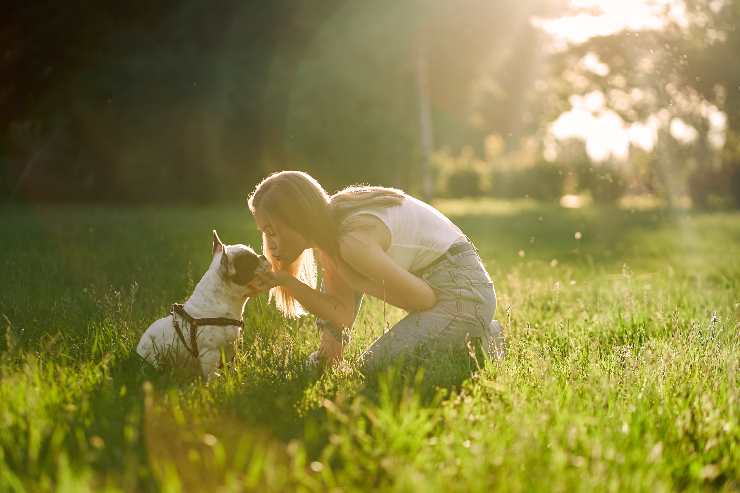 cane depresso i comportamenti 